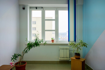 Photo of the interior of the room in the building with flowers in front of the window