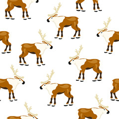 Rein deers animal, fashion vector seamless pattern on white background. Concept for print, wallpaper, wrapping paper , cards 