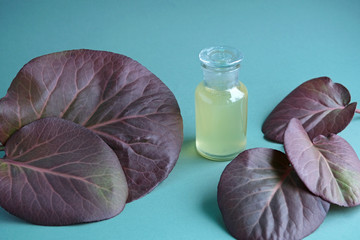 Cosmetic glass bottle mock-up surrounded by maroon leaves of bergenia crassifolia on trendy...