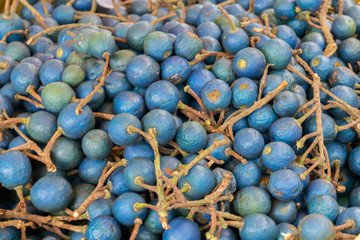Blue olives on Sri Lanka market