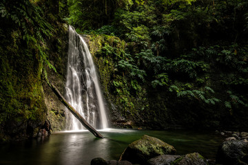 Fototapeta na wymiar Wasserfall auf den Azoren