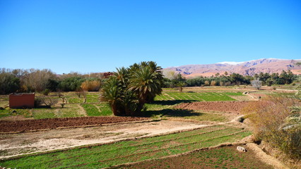 Bright landscape of Morocco, breathtaking curves of mountains, stunning combination of hills & farm land,inadvertent distribution of houses & huts, raw impression of pure nature.
