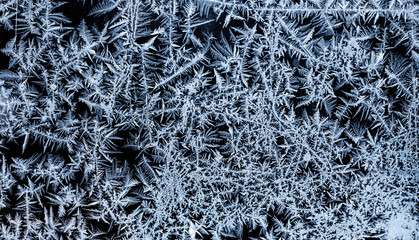 Texture pattern of snowflakes of crystals of snow on glass. Selective Focus. Winter textures, backgrounds patterns.  banner. Copy space