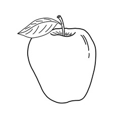 Single hand drawn illustration of an apple with a leaf on a white background. Black and white close-up apple illustration for your design. Isolated object with place for text.