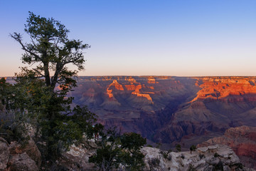 Grand Canyon in sunset sky