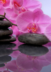 Obraz na płótnie Canvas Pink orchids flowers and spa stones . Spa background.