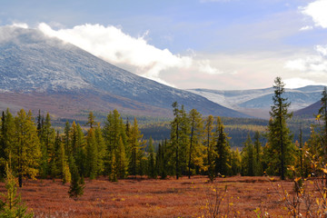 Beautiful wildlife photo with mountains forest clouds