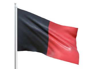 Namur (Province of Belgium) flag waving on white background, close up, isolated. 3D render