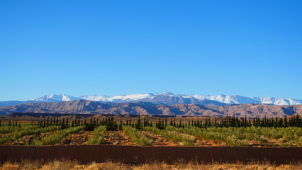 Bright landscape of Morocco, breathtaking curves of mountains, stunning combination of hills & farm...