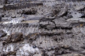 Tractor wheel tracks on mud