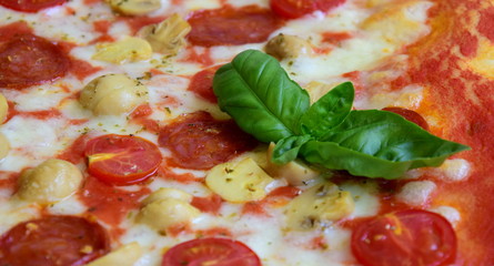 Pizza mit Champignon, Salami und Tomaten