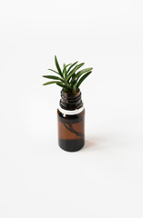 isolated glass bottle with aromatic oil and a sprig of rosemary on a white background