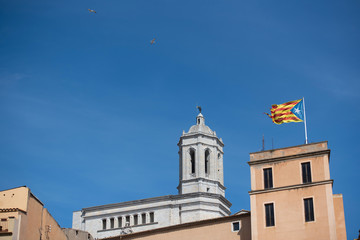 Seagull in the sky next to the flag of Catalonia. Girona, Spain