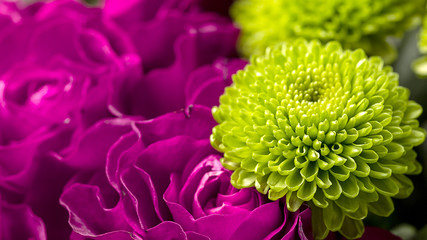 Bouquet of roses and chrysanthemums close up. Beautiful flower background. Floral backdrop.