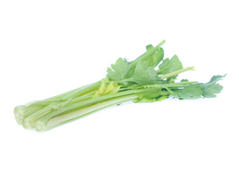 Obraz premium Celery isolated on a white background