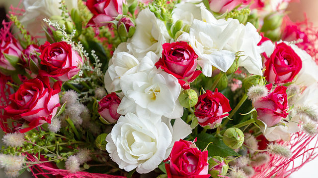 A colorful blossoming flower bouquet of red and white roses and freesia close up. Beautiful floral background.
