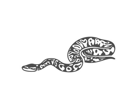 Python snake logo vector, Animal graphic, Snake design Template illustration