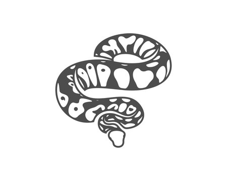 Python snake logo vector, Animal graphic, Snake design Template illustration