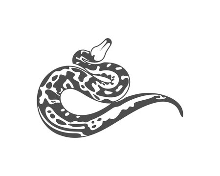 Python snake logo vector, Animal graphic, Snake design Template illustration