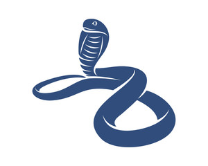 Fototapeta premium King Cobra snake logo design vector, Animal graphic, Snake design Template illustration