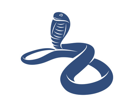 King Cobra snake logo design vector, Animal graphic, Snake design Template illustration