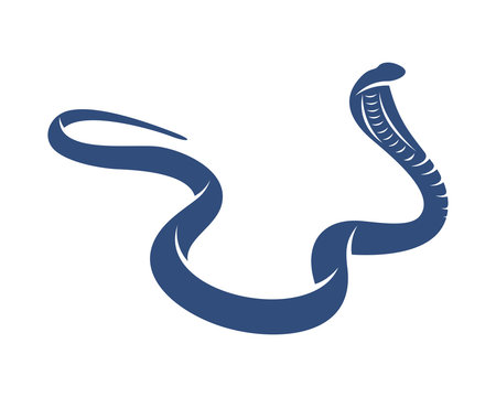 King Cobra snake logo design vector, Animal graphic, Snake design Template illustration