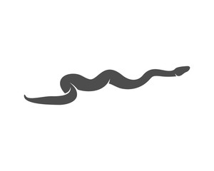 Python snake logo vector, Animal graphic, Snake design Template illustration