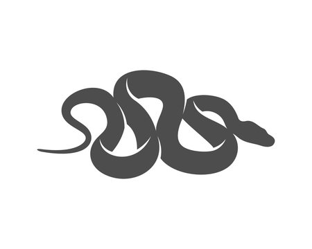 Python snake logo vector, Animal graphic, Snake design Template illustration