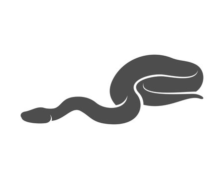 Python snake logo vector, Animal graphic, Snake design Template illustration