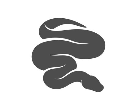 Python snake logo vector, Animal graphic, Snake design Template illustration