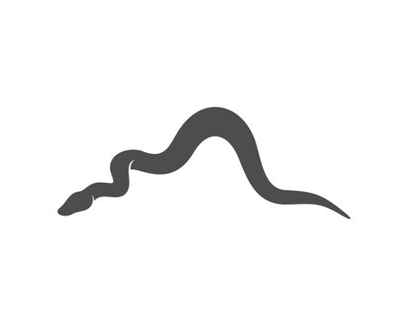 Python snake logo vector, Animal graphic, Snake design Template illustration