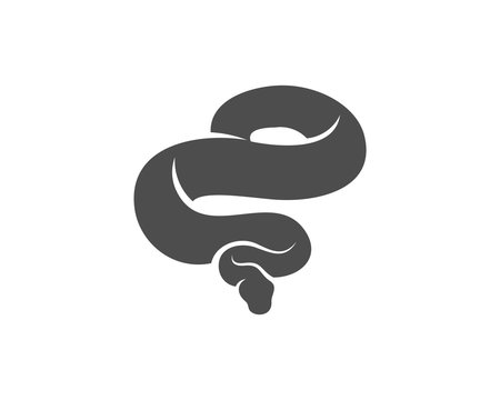 Python snake logo vector, Animal graphic, Snake design Template illustration