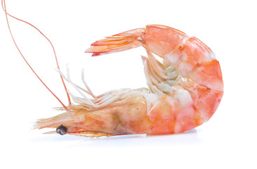 Shrimp isolated on the white background