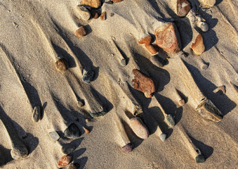 Steine am Sand um die der Wind den Sand weggeblasen hat