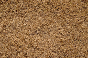 dry grass texture