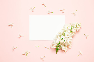Greeting empty card template with white lilac flower on a pink background