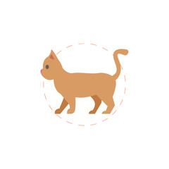 Cat icon. Domestic animal vector flat illustration icon