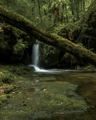Fototapeta premium Wanderung zum Amselsee und Amselfall in der Sächsische Schweiz