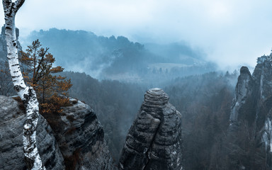 Nebel in Rathen Sächsische Schweiz
