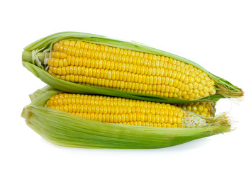 Corn on white background