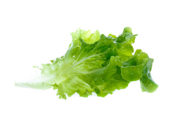 Fresh lettuce leaves isolated on white background