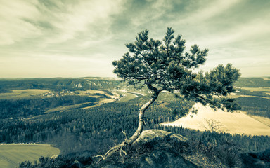 Wanderung zum Lilienstein in der Sächsischen Schweiz