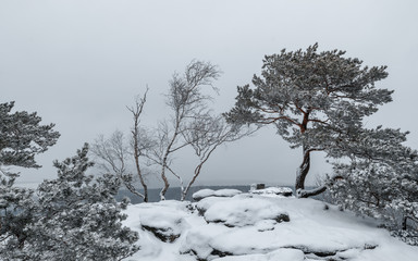 Winterwanderung zum Pfaffenstein Sächsische Schweiz 