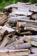 Pile of firewood prepared for the winter.