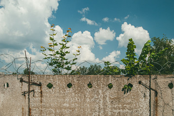 Concrete fence with barbed wire on top against a blue sky with white clouds and green trees....