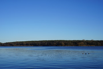 Havellandschaft mit Enten und Blick auf den Teufelsberg