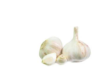 copy space garlic isolated on white background
