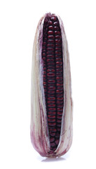 Black Corn on white background