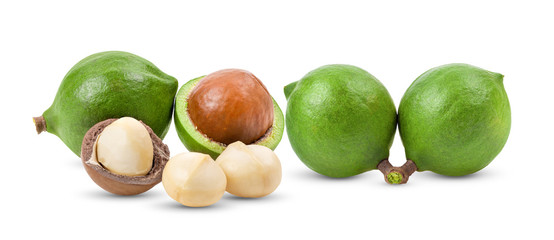 macadamia nuts on white background