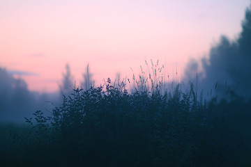 Obraz na płótnie Canvas Evening mist on a field in countryside at summer.